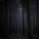 Dark foggy forest with neon lights – Stranger Things atmosphere